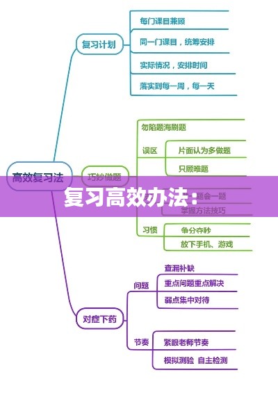 复习高效办法： 