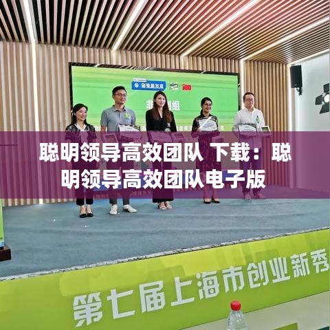 聪明领导高效团队 下载：聪明领导高效团队电子版 