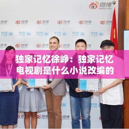 独家记忆徐峥：独家记忆电视剧是什么小说改编的 