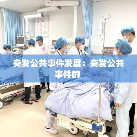 突发公共事件发展：突发公共事件的 