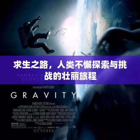 求生之路，人类不懈探索与挑战的壮丽旅程