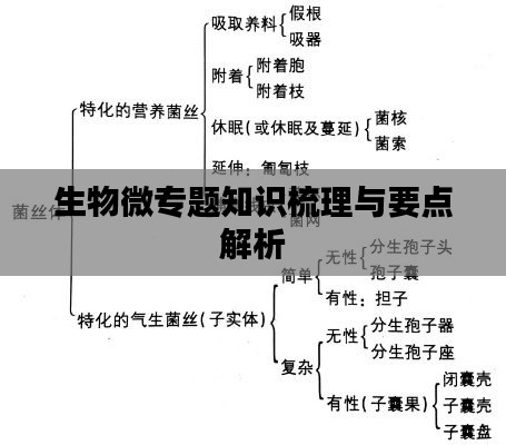 生物微专题知识梳理与要点解析