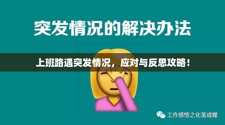 上班路遇突发情况，应对与反思攻略！