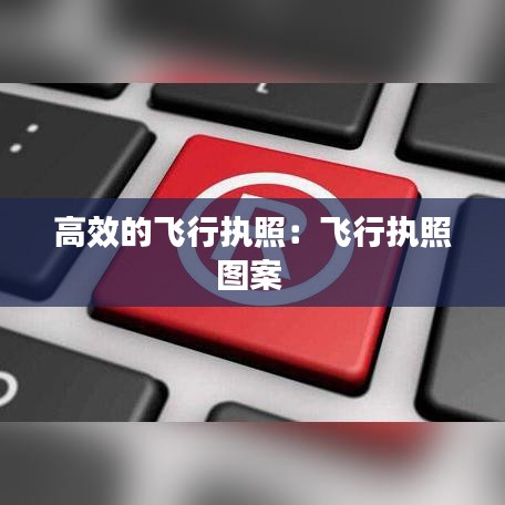 高效的飞行执照：飞行执照图案 