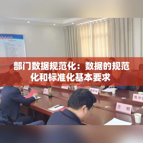 部门数据规范化：数据的规范化和标准化基本要求 