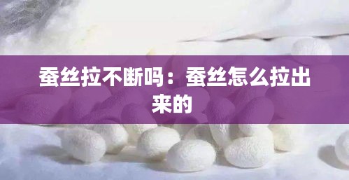 蚕丝拉不断吗：蚕丝怎么拉出来的 