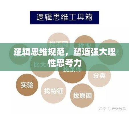 逻辑思维规范，塑造强大理性思考力
