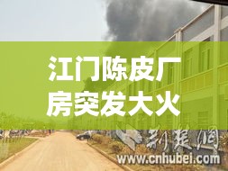 江门陈皮厂房突发大火，消防迅速出动紧急救援行动