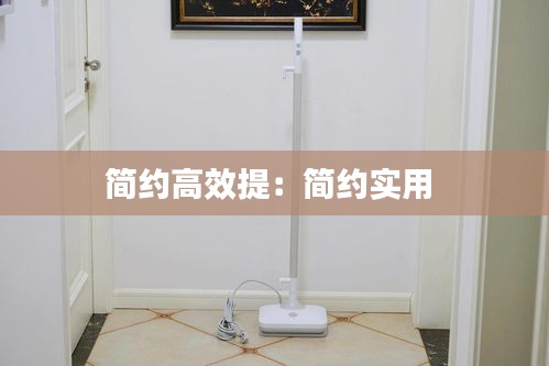 简约高效提：简约实用 