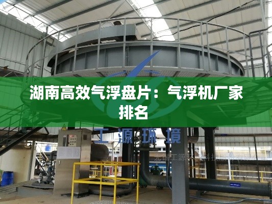 湖南高效气浮盘片：气浮机厂家排名 