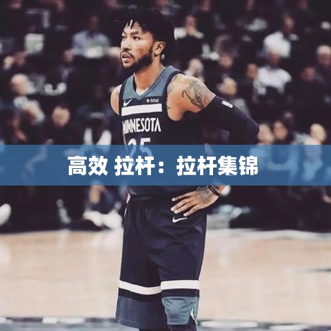 高效 拉杆：拉杆集锦 