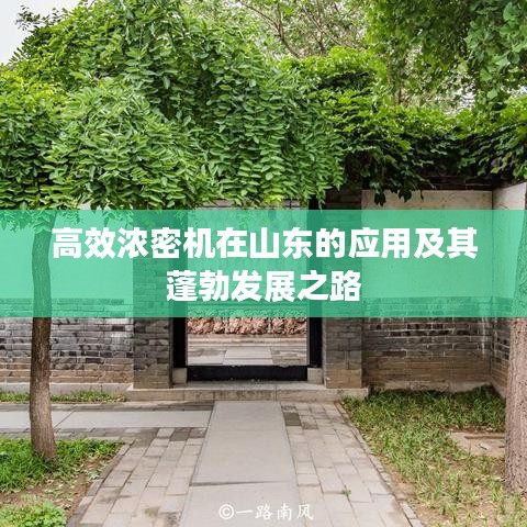 高效浓密机在山东的应用及其蓬勃发展之路