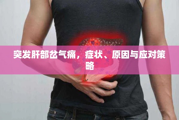 突发肝部岔气痛，症状、原因与应对策略