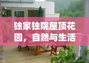 凤鸟不至 第3页