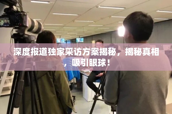 深度报道独家采访方案揭秘，揭秘真相，吸引眼球！