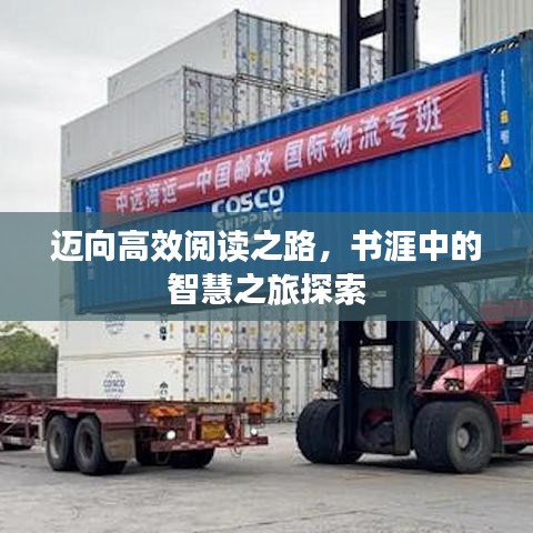 迈向高效阅读之路，书涯中的智慧之旅探索