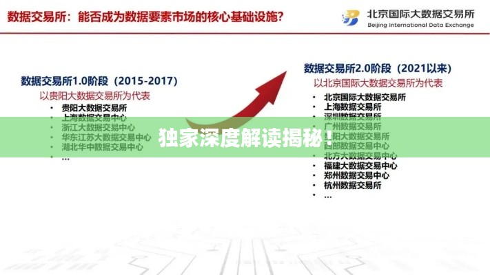 独家深度解读揭秘！