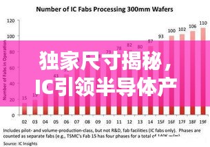 独家尺寸揭秘，IC引领半导体产业新标杆