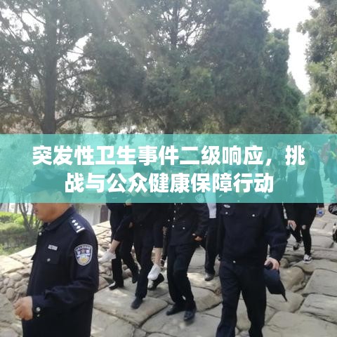 突发性卫生事件二级响应，挑战与公众健康保障行动