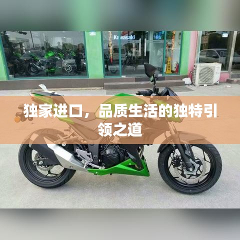 独家进口，品质生活的独特引领之道