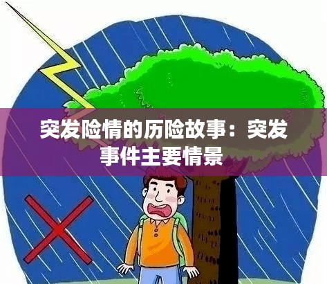突发险情的历险故事：突发事件主要情景 