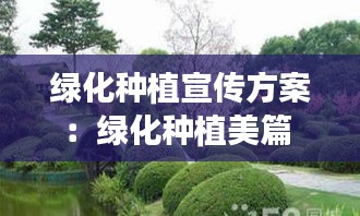 绿化种植宣传方案：绿化种植美篇 