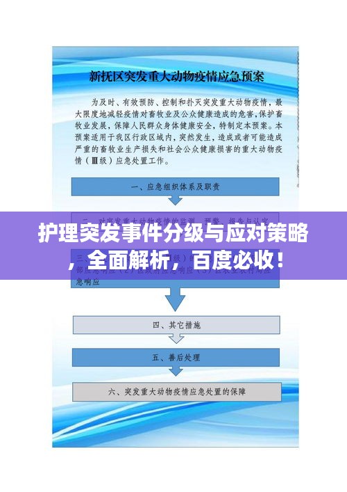 护理突发事件分级与应对策略，全面解析，百度必收！
