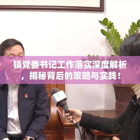 镇党委书记工作落实深度解析，揭秘背后的策略与实践！