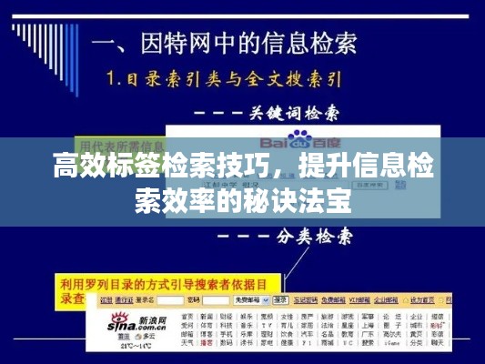 高效标签检索技巧，提升信息检索效率的秘诀法宝