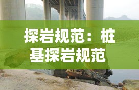 探岩规范：桩基探岩规范 
