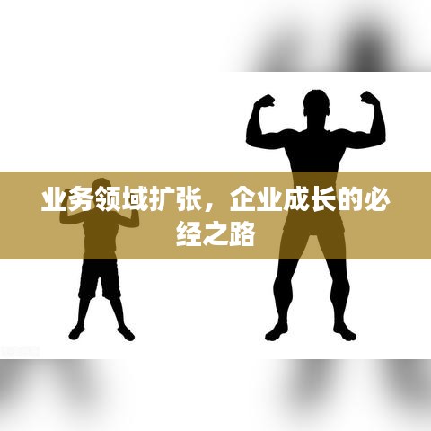 业务领域扩张，企业成长的必经之路