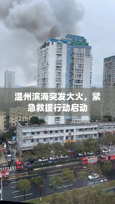 温州滨海突发大火，紧急救援行动启动