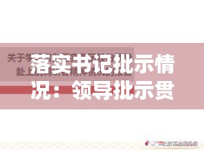 落实书记批示情况：领导批示贯彻落实情况报告 