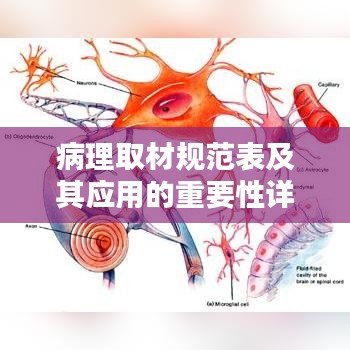 病理取材规范表及其应用的重要性详解