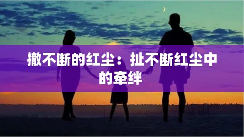 衣不完采 第3页