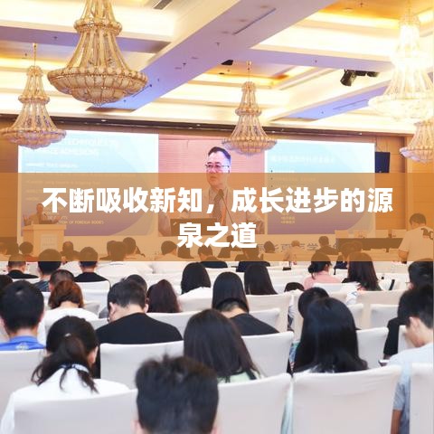 不断吸收新知，成长进步的源泉之道
