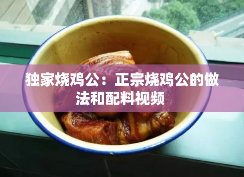 衣无二彩 第2页