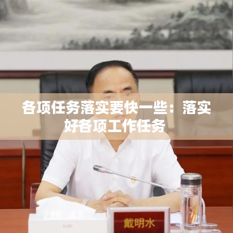 各项任务落实要快一些：落实好各项工作任务 