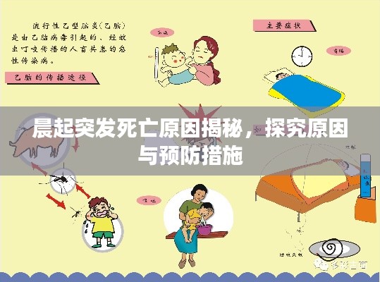 晨起突发死亡原因揭秘，探究原因与预防措施