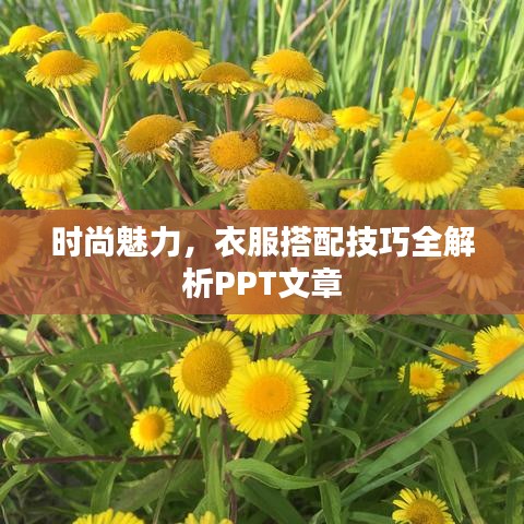时尚魅力，衣服搭配技巧全解析PPT文章