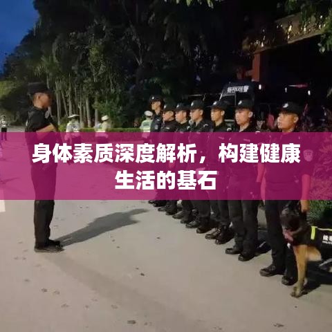身体素质深度解析，构建健康生活的基石