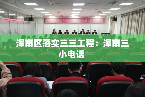浑南区落实三三工程：浑南三小电话 