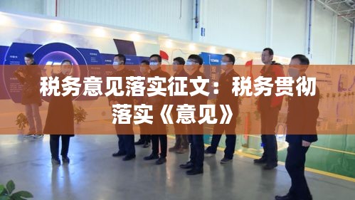 税务意见落实征文：税务贯彻落实《意见》 
