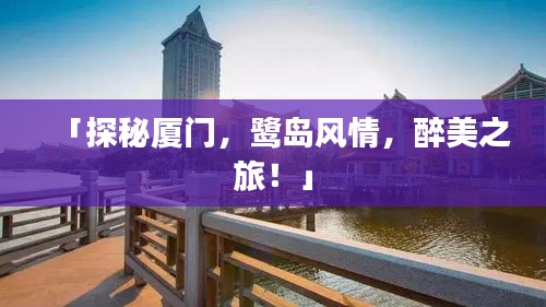 宁静致远 第3页