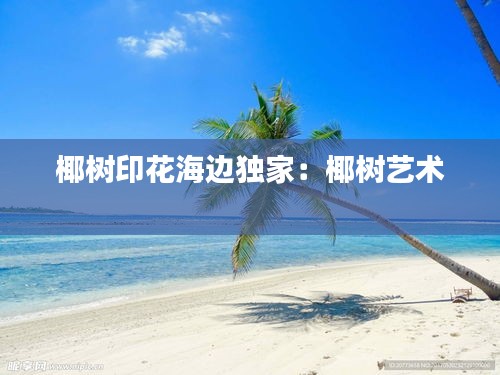 椰树印花海边独家：椰树艺术 