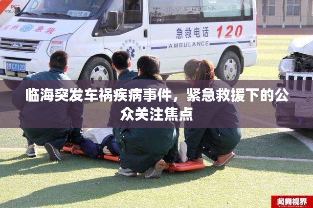 物稀为贵 第2页