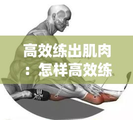 高效练出肌肉：怎样高效练肌肉 