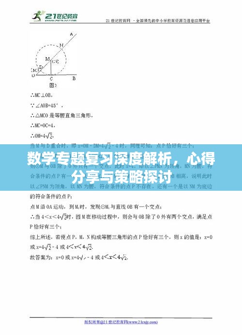数学专题复习深度解析，心得分享与策略探讨