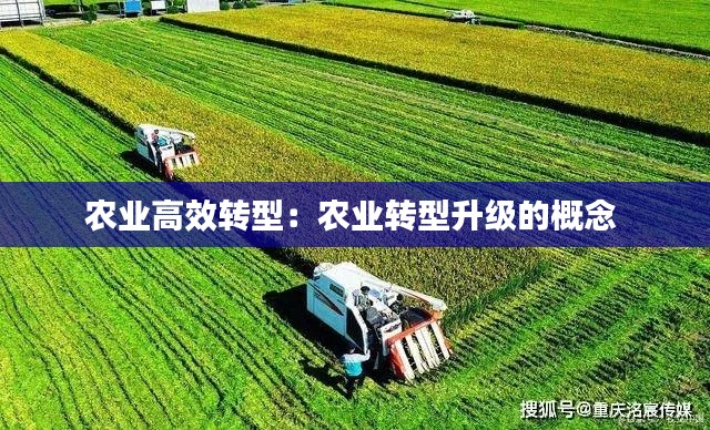 农业高效转型：农业转型升级的概念 