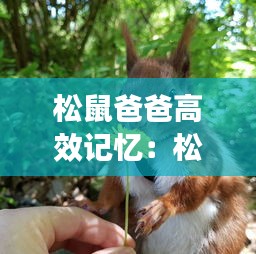 松鼠爸爸高效记忆：松鼠爸爸感谢小男孩是因为什么 